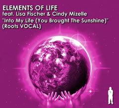 Into My Life (You Brought The Sunshine)
